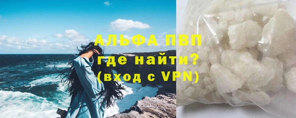 ГАЛЛЮЦИНОГЕННЫЕ ГРИБЫ Богданович