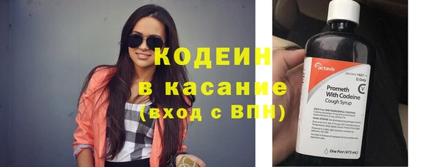 ГАЛЛЮЦИНОГЕННЫЕ ГРИБЫ Богданович