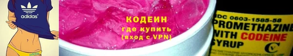 ГАЛЛЮЦИНОГЕННЫЕ ГРИБЫ Богданович