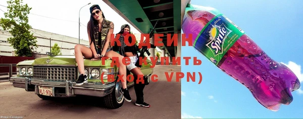 ГАЛЛЮЦИНОГЕННЫЕ ГРИБЫ Богданович