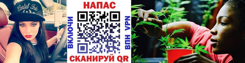 Купить закладки  Вольск  Бошки Шишки планчик 